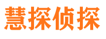 双城市私家侦探公司